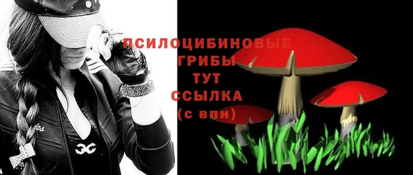 ПСИЛОЦИБИНОВЫЕ ГРИБЫ Кинешма