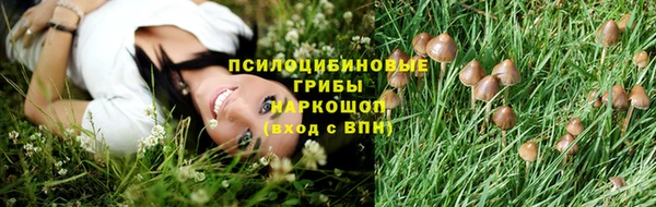 ПСИЛОЦИБИНОВЫЕ ГРИБЫ Кинешма