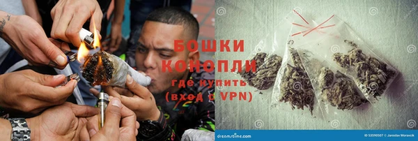стаф Касимов